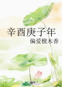 辛酉庚子年