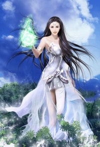 奉旨成婚