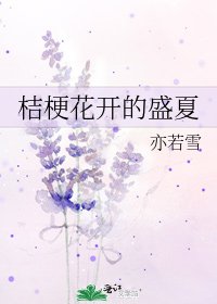 桔梗花开的盛夏